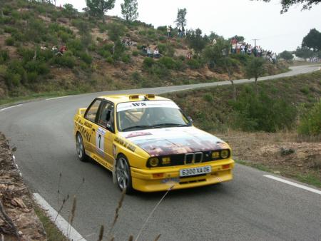 bm 318 maxi